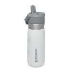 Stanley TheGOIceFlowFlipStrawWaterBottle0.65L 22OZ Polar 1 900x