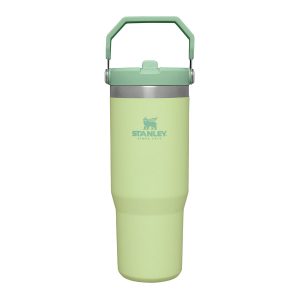 تراول ماگ نی دار استنلی مدل Iceflow Flip Straw Tumbler