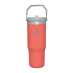 TheIceFlow FlipStrawTumbler Guava 0.89L Front 900x